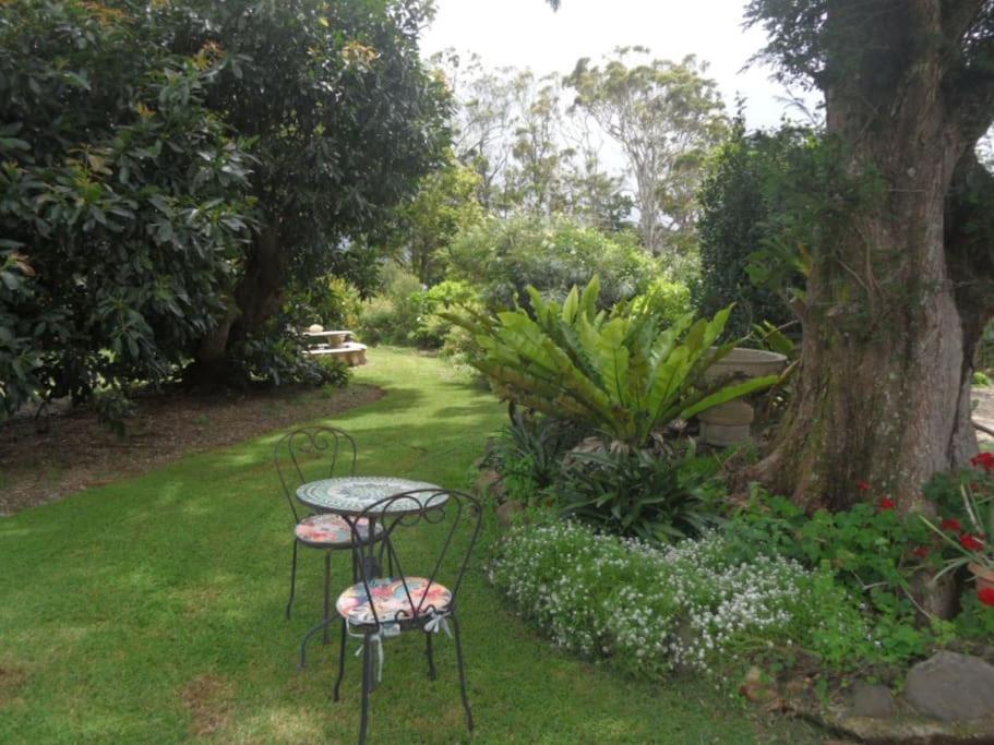Moonya Avocado Farm Cottage - With Early Check-In Mount Tamborine Dış mekan fotoğraf