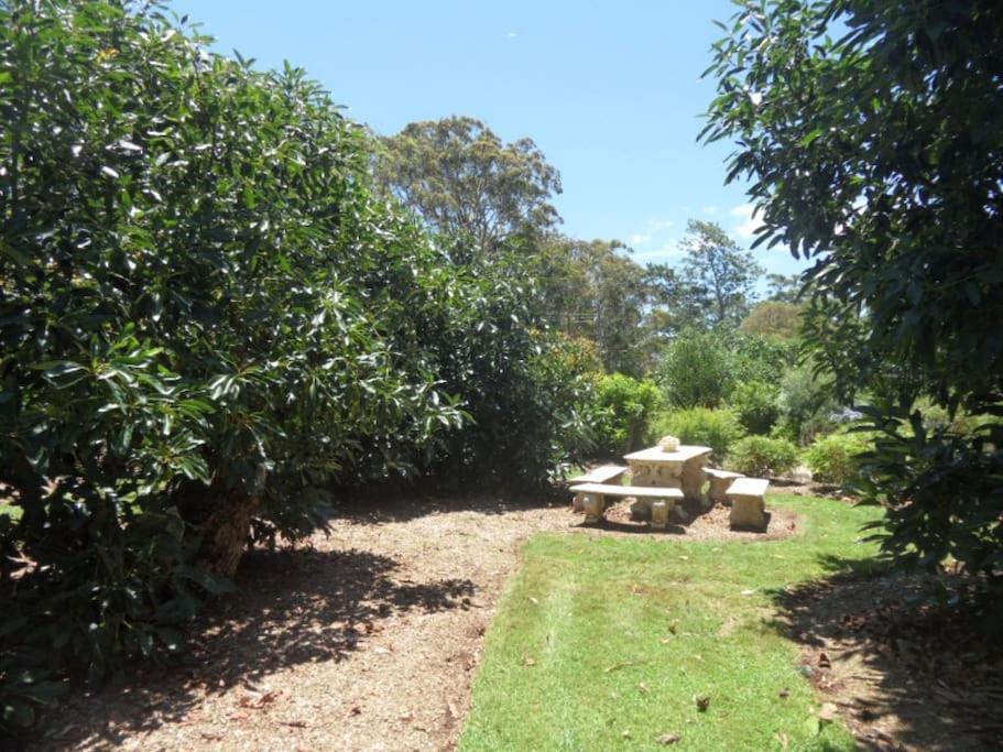 Moonya Avocado Farm Cottage - With Early Check-In Mount Tamborine Dış mekan fotoğraf